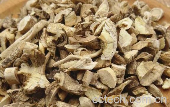 八股牛根的功效与作用 八股牛根的副作用-1