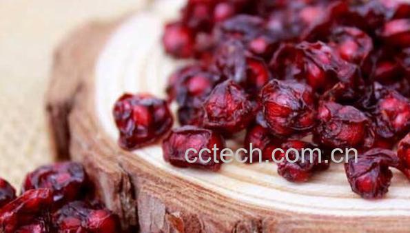 五味子和醋五味子的区别 吃五味子的好处-0