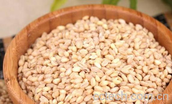米仁的吃法 米仁的功效与作用-0