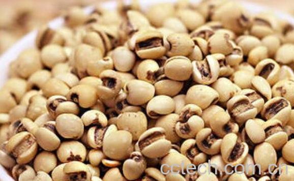 熟薏米的功效与作用及禁忌-1