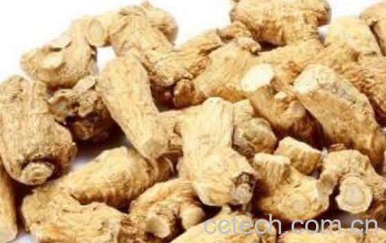 花旗参的功效与作用及禁忌-0