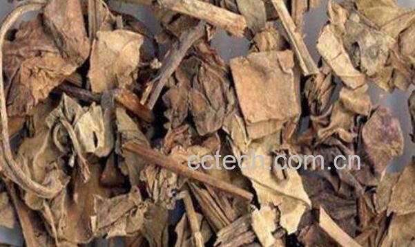 干鱼腥草怎么煮水喝 干鱼腥草煮水正确方法-1