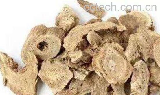 木香的功效与作用及禁忌-0