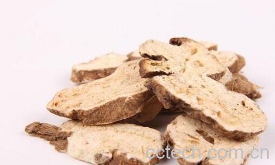 白术的功效与作用 白术的食用方法-0