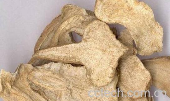 白术的功效与作用 白术的食用方法-1