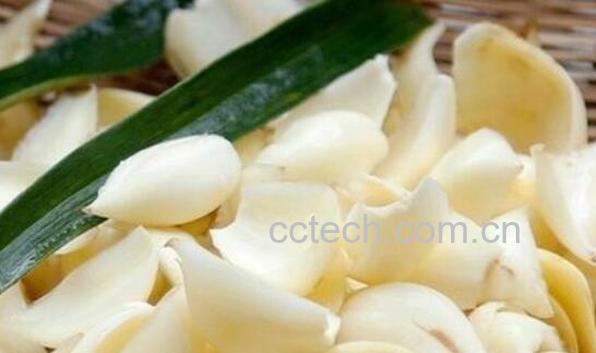 酸百合的功效与作用-0