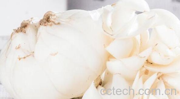 兰州百合的功效与作用 兰州百合食用方法-1