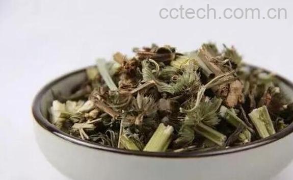 益母草的功效与作用 益母草的食用方法-1