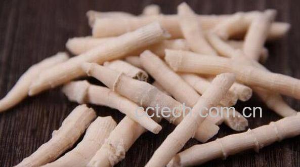 鹅管石的功效与作用 鹅管石的禁忌-0