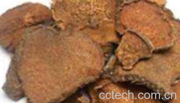 黄药子的功效与作用及副作用-1