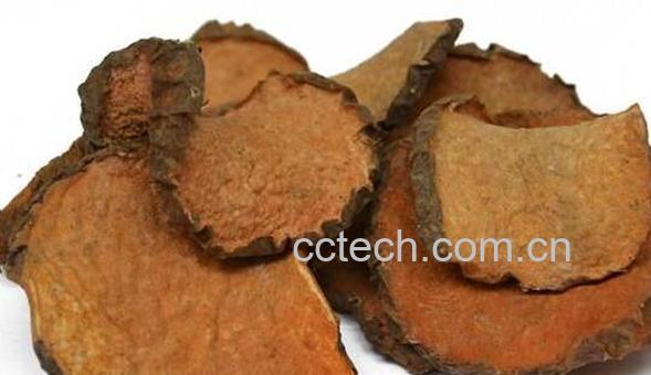 黄独泡酒的功效与作用-0