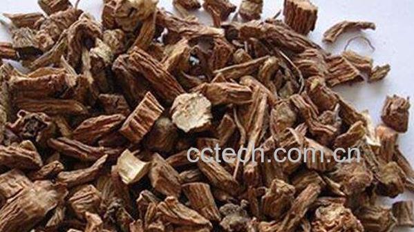 续断的功效与作用 续断的副作用-0