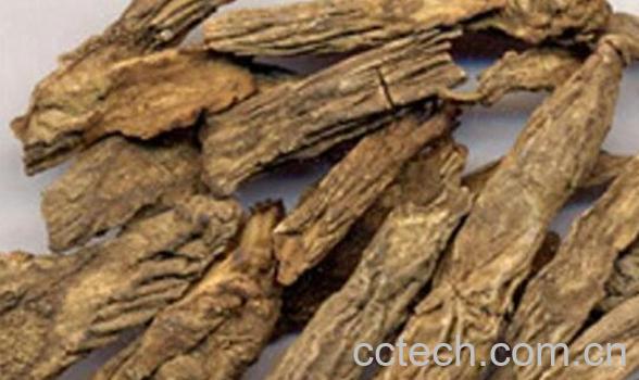 续断的功效与作用 续断的副作用-1