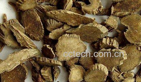 川牛膝的功效与作用 川牛膝的副作用-0