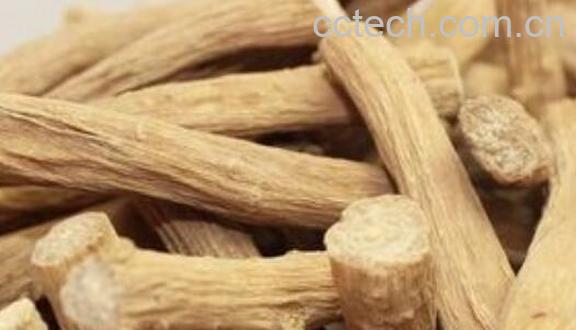 川牛膝和怀牛膝的区别 牛膝的吃法-0