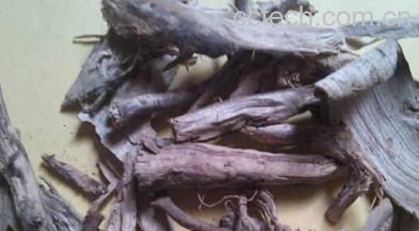 花椒根煮水的作用与功效-0