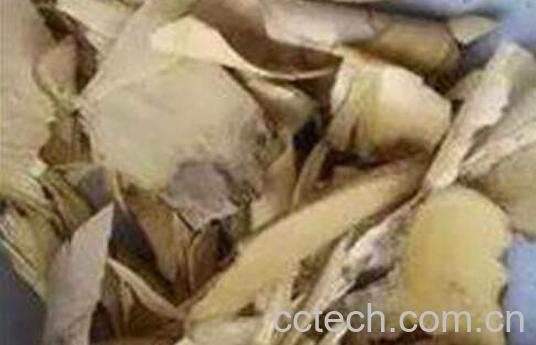 花椒根煮水的作用与功效-1