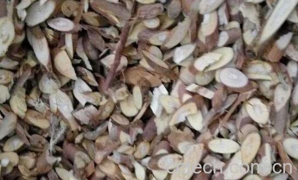 桑梗的功效与作用 桑梗的禁忌-1