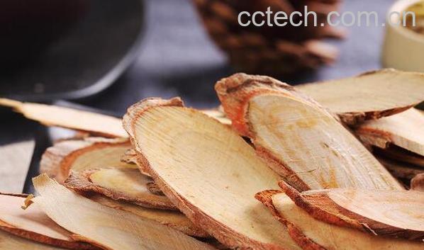 冬革阿里的功效和作用　东革阿里的危害-0