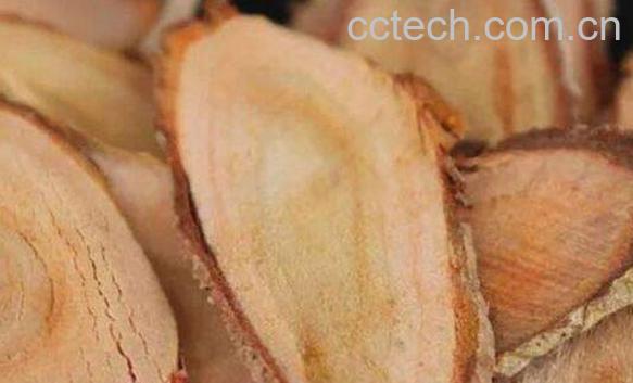 冬革阿里的功效和作用　东革阿里的危害-1