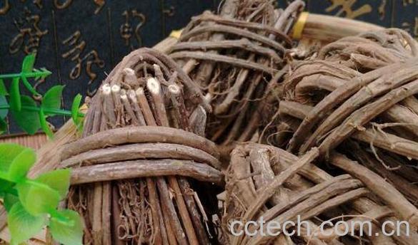 满山香根的功效与作用-1