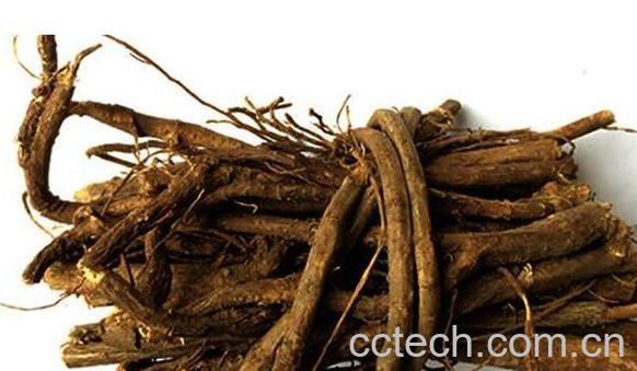 香藤根的功效与禁忌-1