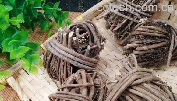 香藤根的功效与禁忌-0