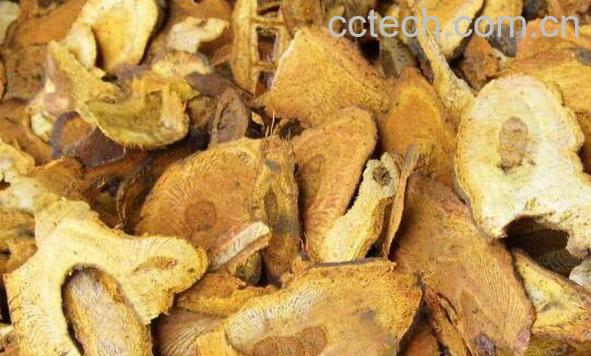 中药虎杖的功效与作用 虎杖的药用价值-0