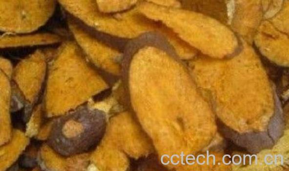 中药虎杖的功效与作用 虎杖的药用价值-1