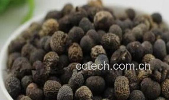 棕榈子的功效与作用 棕榈子怎么吃-0