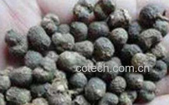 棕榈子的功效与作用 棕榈子怎么吃-1