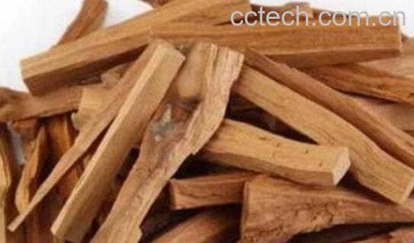 香樟根的功效与作用-1