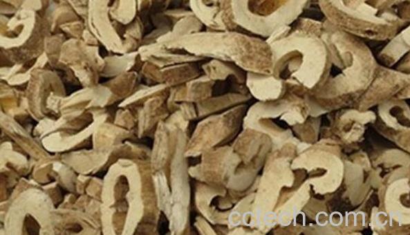 白鲜皮的功效与作用及药用价值-0