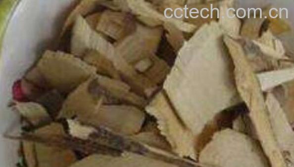 八角枫根的功效与作用-1