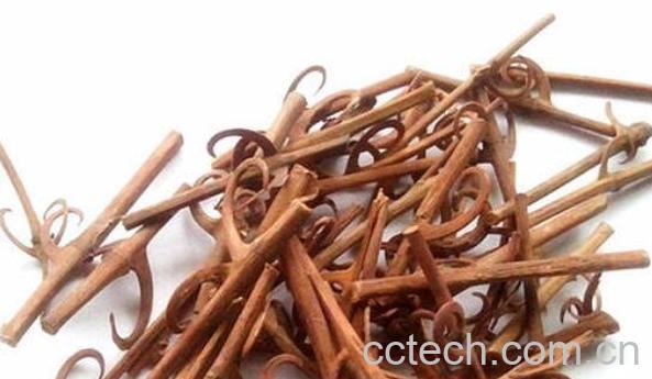 鹰爪风的功效与作用-1