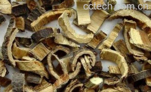 合欢皮的功效与作用 合欢皮的禁忌-0