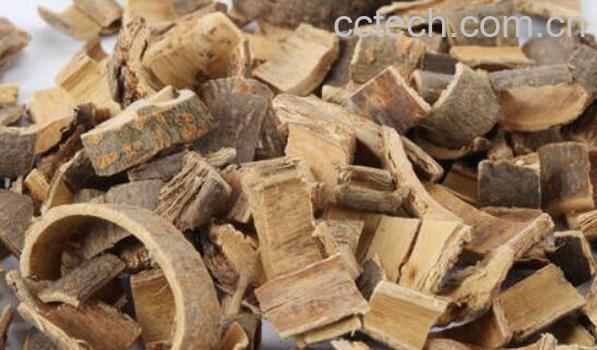 合欢皮的功效与作用 合欢皮的禁忌-1