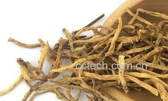 坚龙胆的功效与作用-0