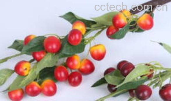 樱桃枝的功效与作用 樱桃枝的药用价值-1