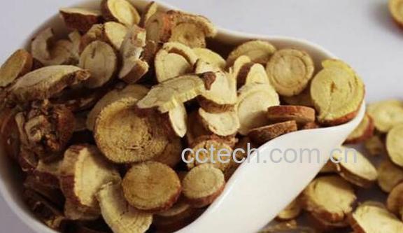 小牛力的功效与作用 小牛力的药用价值-0