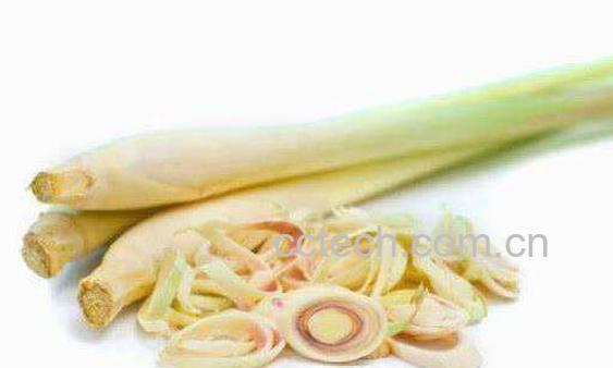 香茅根怎么吃 香茅根的食用方法-1