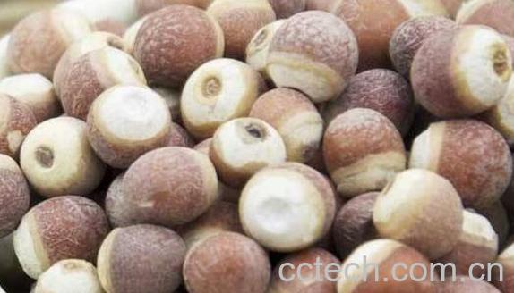 芡实根怎么做好吃 芡实根的食用方法-1