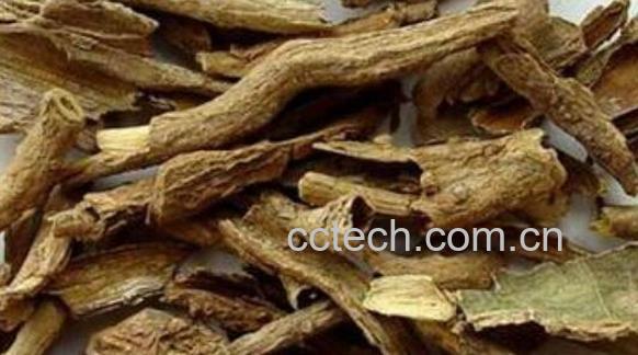 地骨皮怎么吃 地骨皮的食用方法-0