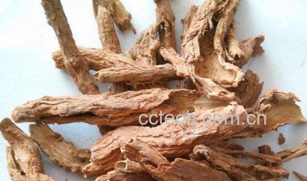 地骨皮怎么吃 地骨皮的食用方法-1