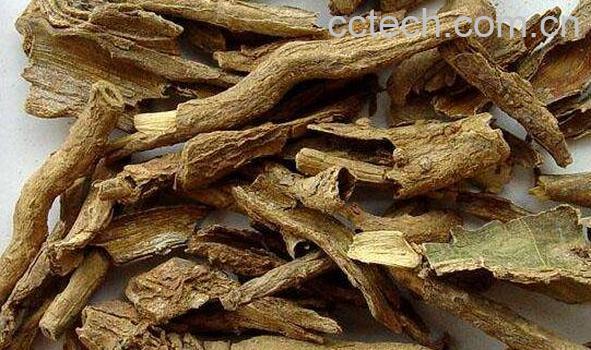 地骨皮的功效与作用 地骨皮的副作用-0