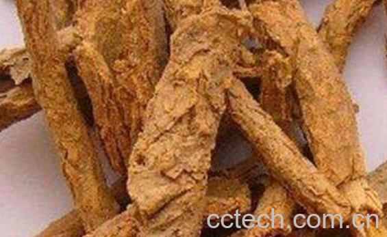 地骨皮的功效与作用 地骨皮的副作用-1