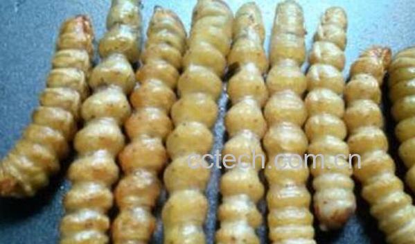 云实蛀虫的功效与作用-0