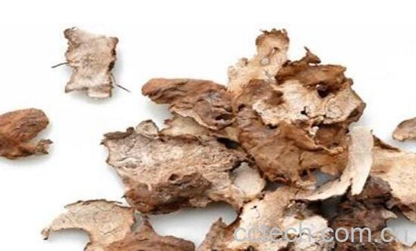 炒茯神的功效与作用-1