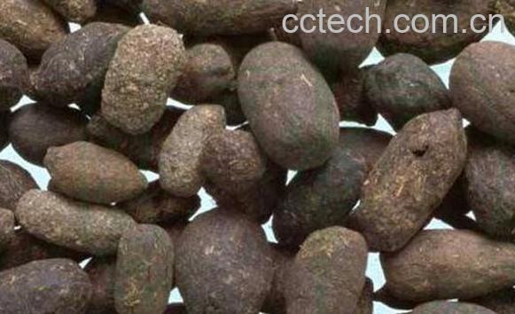 醋五灵脂与五灵脂区别 五灵脂的药用价值-0