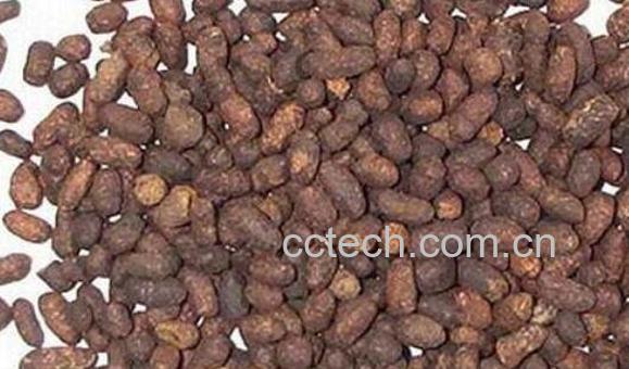 五灵脂的功效与作用 五灵脂的禁忌-0